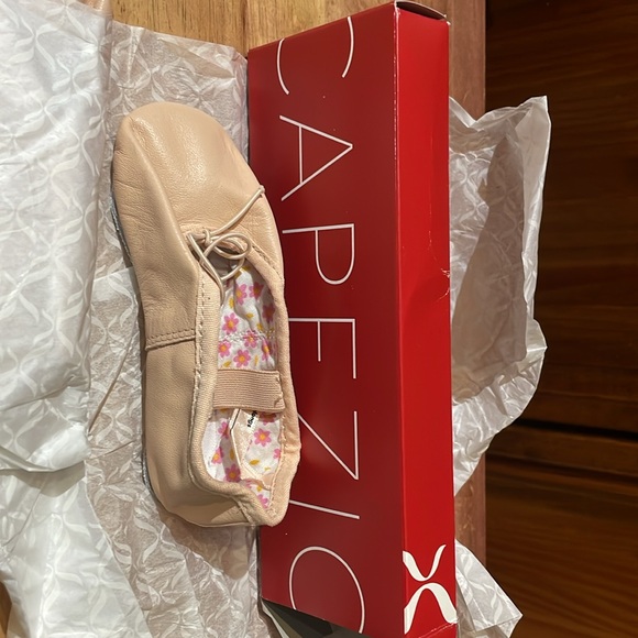 Daisy Ballet Shoe Size Toddler sizes Pink Capezio NWT - Picture 3 of 4